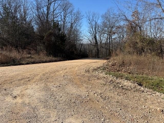 A rare and highly versatile 10.5+/- acre tract located in Camden - photo 15