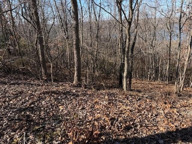 A rare and highly versatile 10.5+/- acre tract located in Camden - photo 18