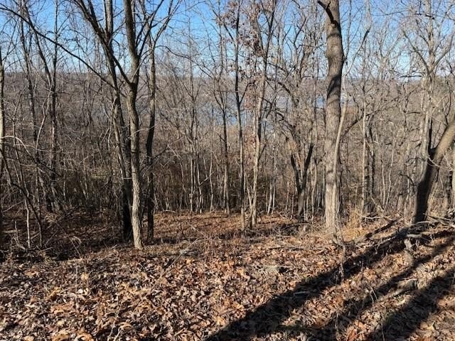 A rare and highly versatile 10.5+/- acre tract located in Camden - photo 19