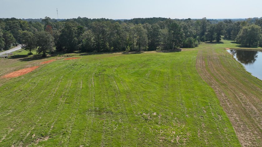 Rocky Creek Getaway - Recreational Land for Sale in Jones County - photo 4
