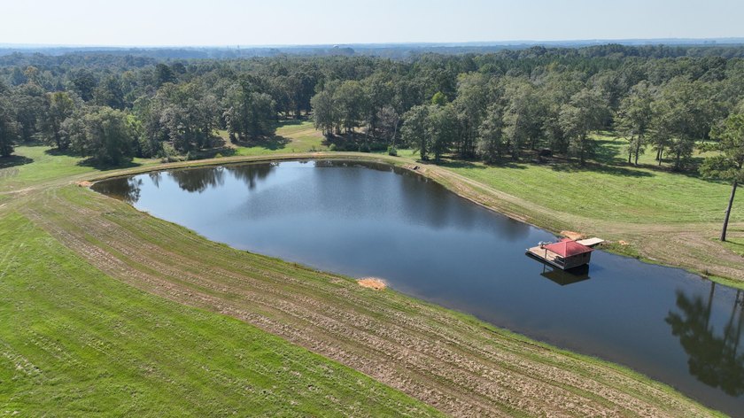 Rocky Creek Getaway - Recreational Land for Sale in Jones County - photo 5