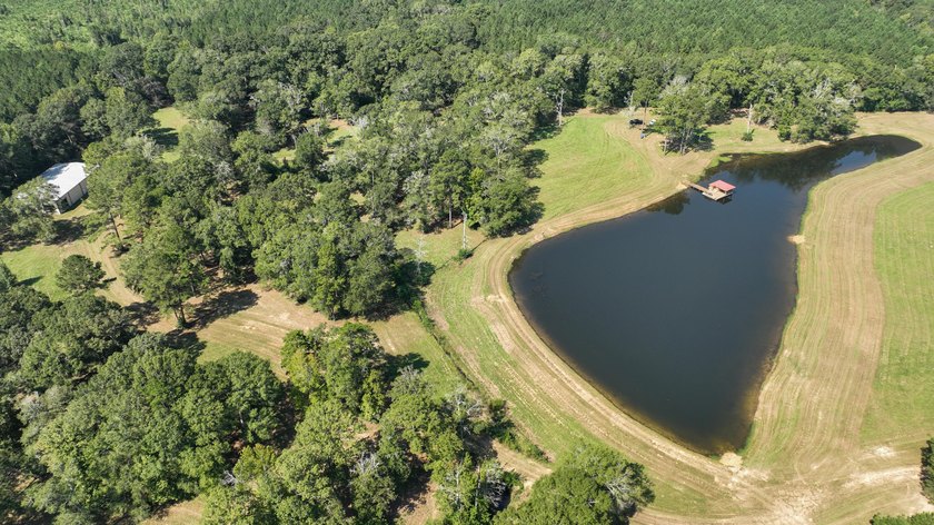 Rocky Creek Getaway - Recreational Land for Sale in Jones County - photo 6