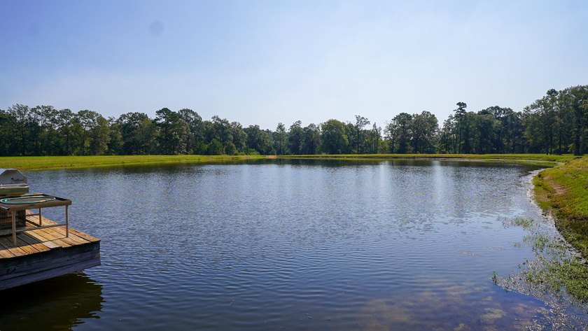 Rocky Creek Getaway - Recreational Land for Sale in Jones County - photo 9