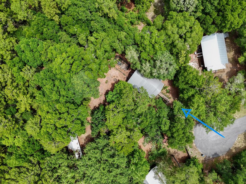 Florida cottage on .79 acres - totally renovated and nestled in - photo 44