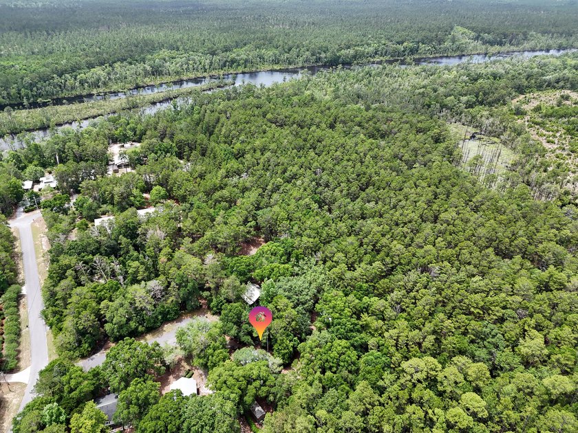 Florida cottage on .79 acres - totally renovated and nestled in - photo 45
