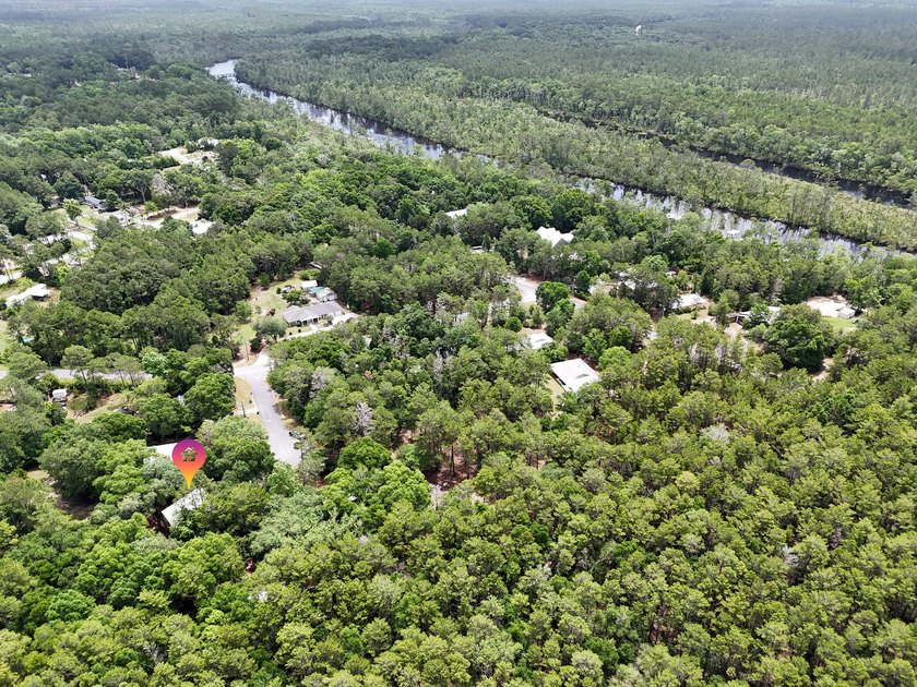 Florida cottage on .79 acres - totally renovated and nestled in - photo 46