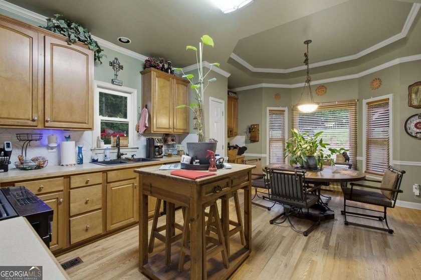 Welcome to 123 Breckenridge Drive in Canton, where exceptional - photo 16