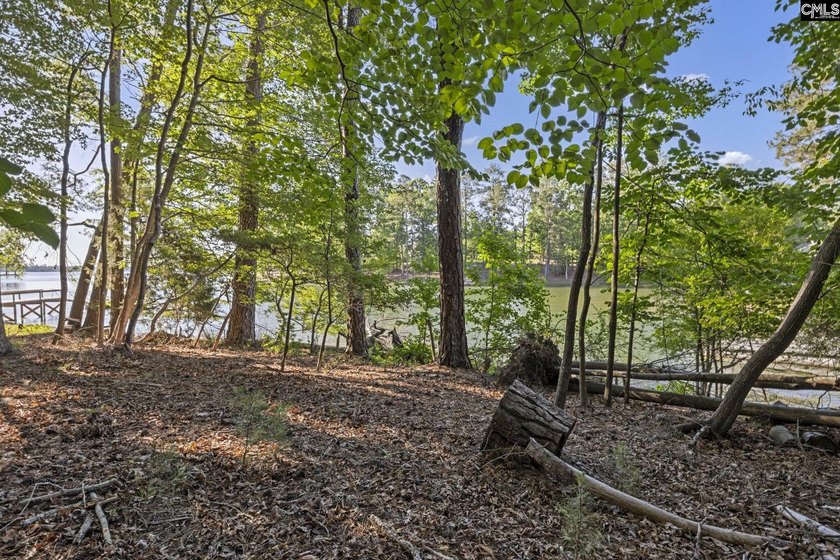 7.44 acres connected to Dominion Energy lakefront land. Recently - photo 19