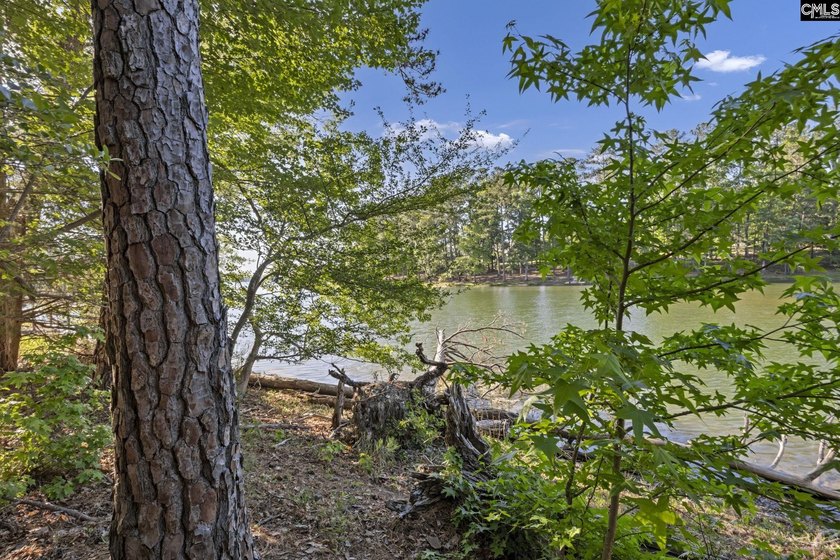 7.44 acres connected to Dominion Energy lakefront land. Recently - photo 20