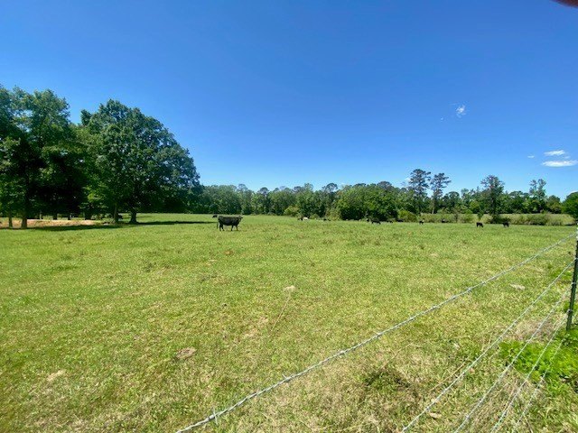 Welcome to this stunning 58-acre homestead that perfectly blends - photo 50
