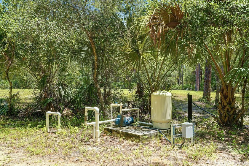 Build your dream oasis on this private, gated 6+ acre heavily - photo 18