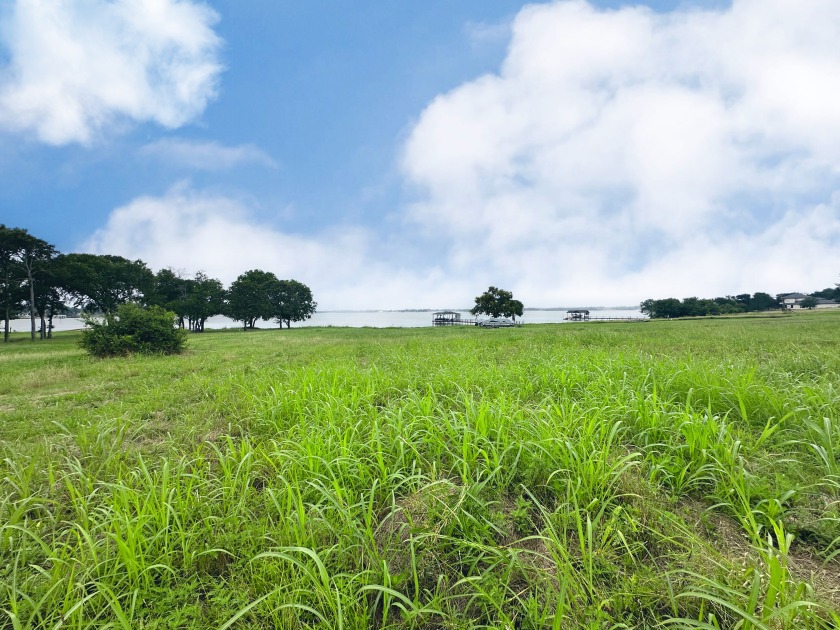 Dream Waterfront Homesite on Richland Chambers Lake! - photo 13