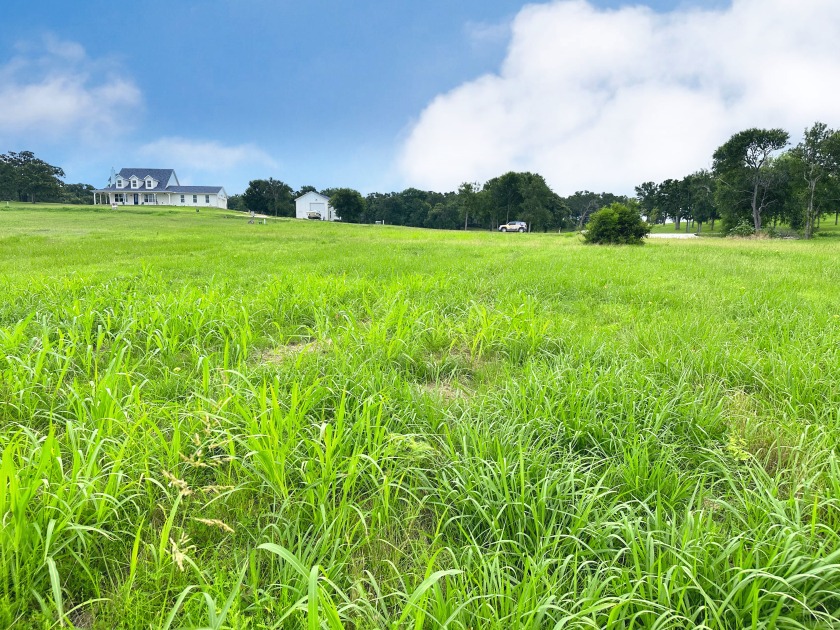Dream Waterfront Homesite on Richland Chambers Lake! - photo 15
