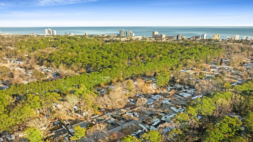NO HOA - ONLY 0.8 Miles to the Atlantic Ocean! Discover the - photo 46
