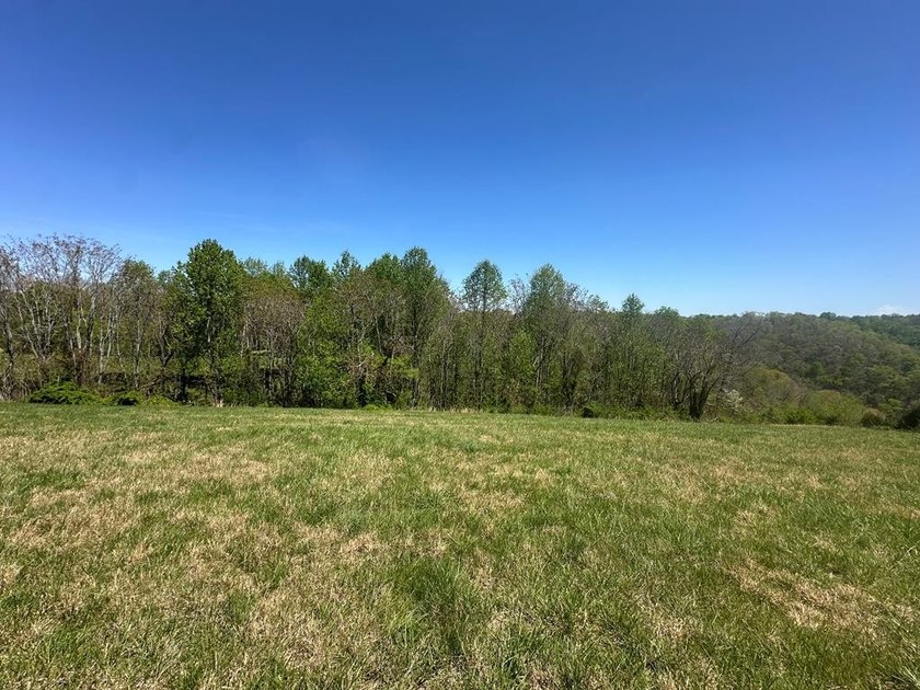 Discover your perfect retreat near scenic Center Hill Lake! This - photo 7