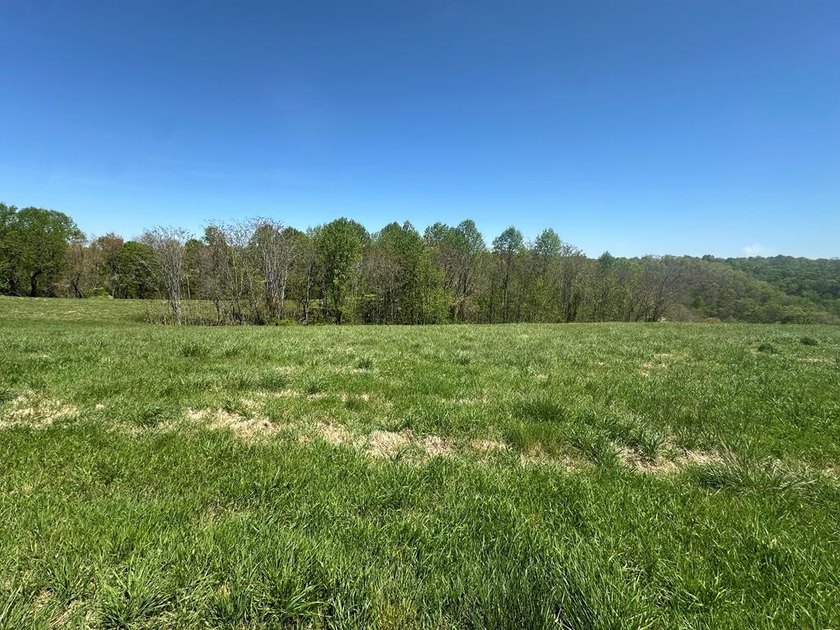 Discover your perfect retreat near scenic Center Hill Lake! This - photo 8
