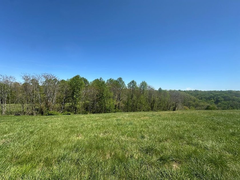 Discover your perfect retreat near scenic Center Hill Lake! This - photo 9