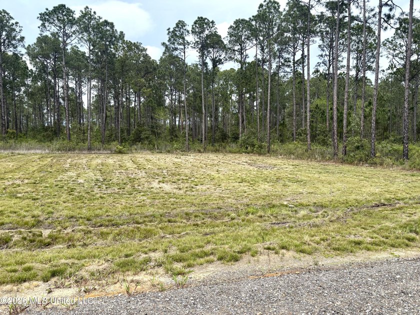 Close to hospital, shopping and restaurants. Approximately .31 - photo 3