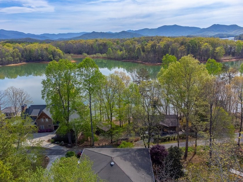 Lake life at its finest-an exceptional opportunity to own a - photo 6