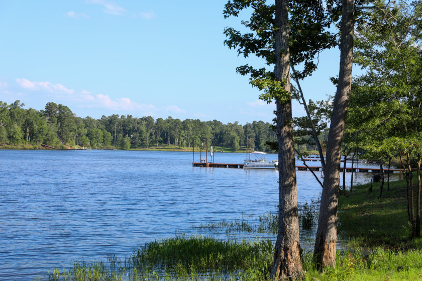 1196 Boon Dock, Avinger, TX 75630, 4047443