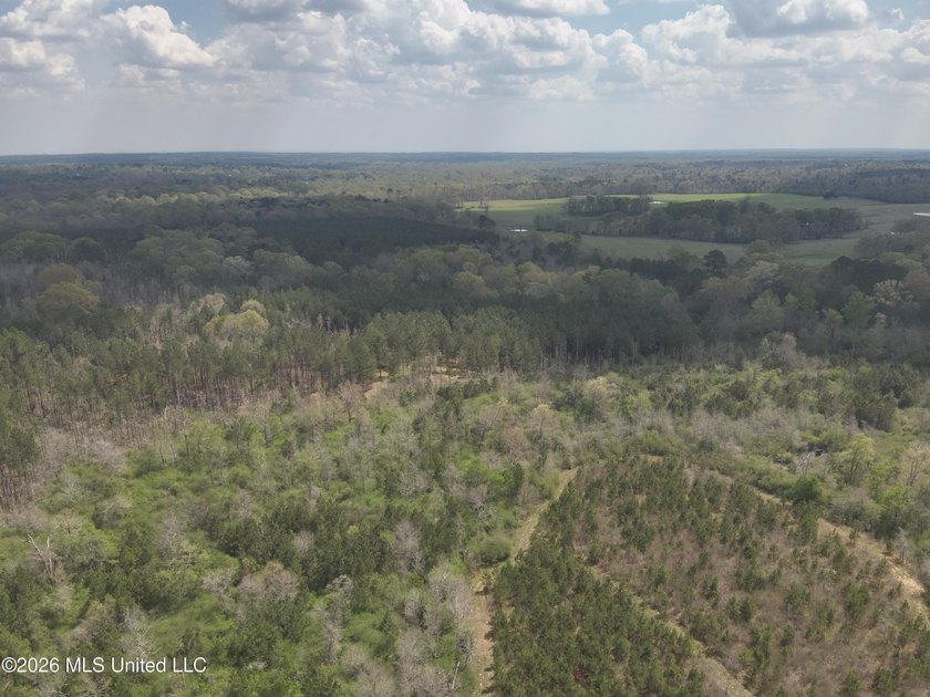 Discover an exceptional hunting and recreational property in the - photo 2