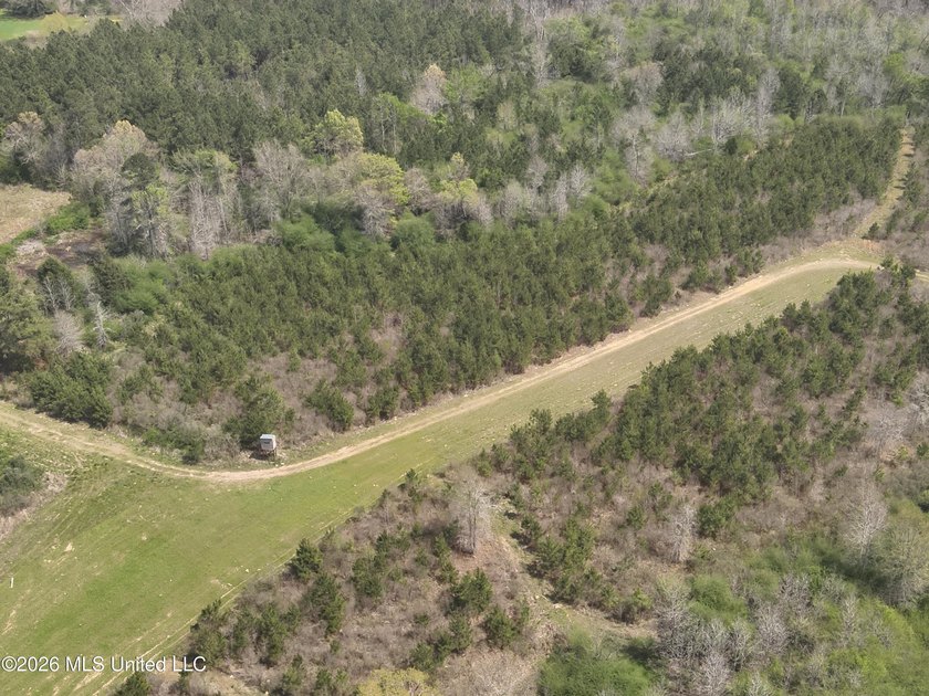 Discover an exceptional hunting and recreational property in the - photo 3