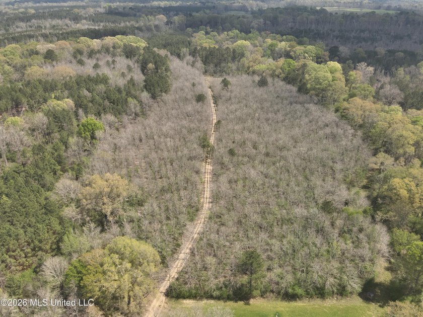 Discover an exceptional hunting and recreational property in the - photo 4