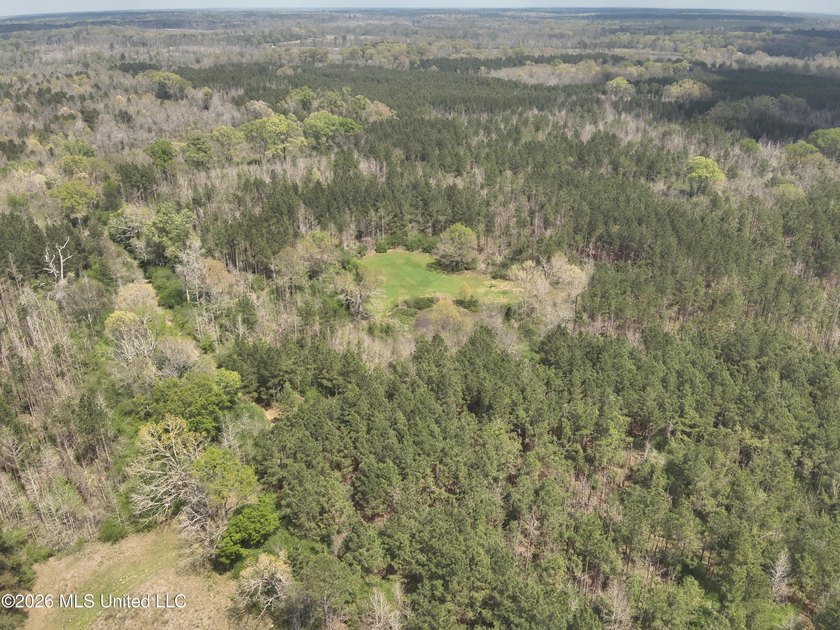 Discover an exceptional hunting and recreational property in the - photo 6