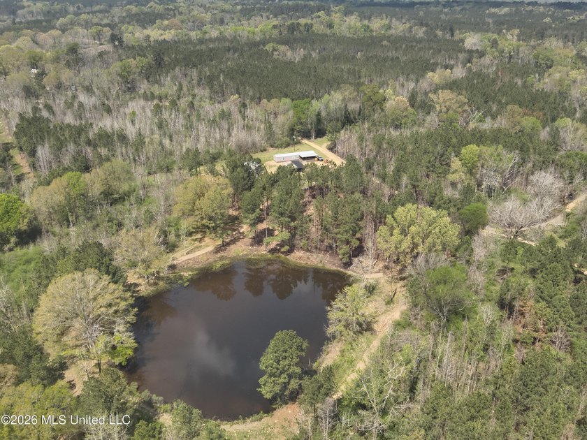 Discover an exceptional hunting and recreational property in the - photo 7