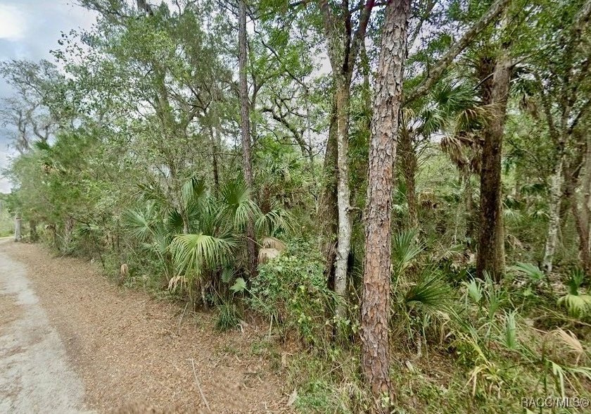 Build where others vacation! This .57-acre wooded waterfront - photo 7