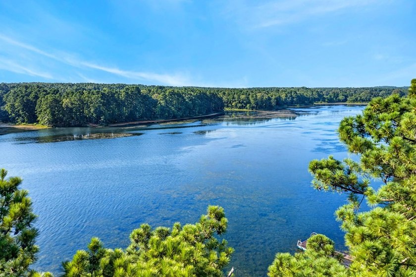 Discover the beauty of waterfront living on Lake Pinkston in - photo 23