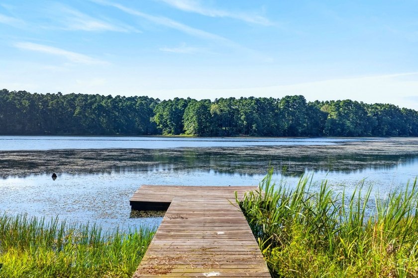 Discover the beauty of waterfront living on Lake Pinkston in - photo 26