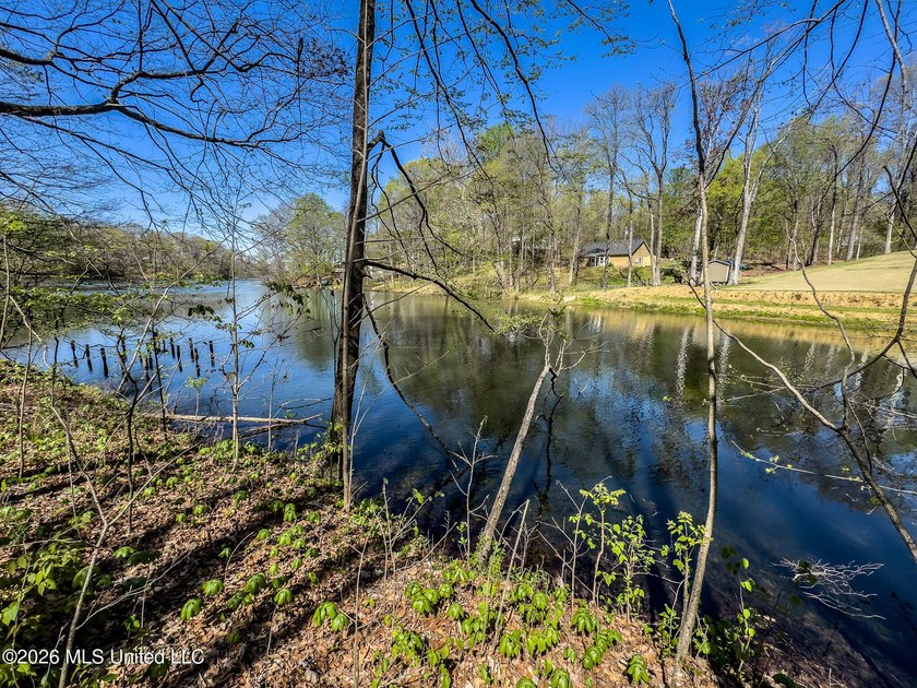 0.55 acre waterfront lot located in Hernando, surrounded by - photo 2