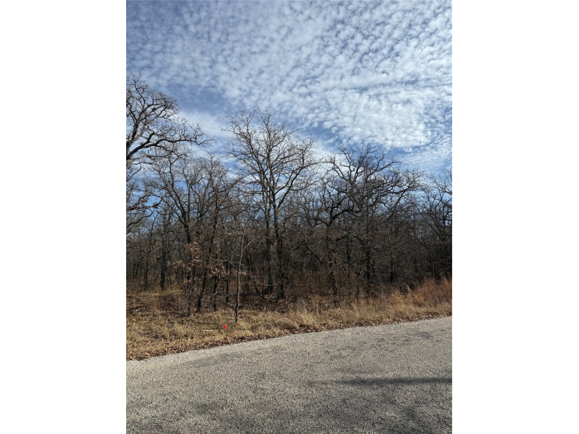 Miller Ct - photo 5