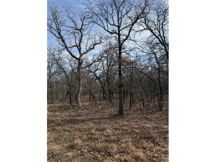 Miller Ct - photo 6