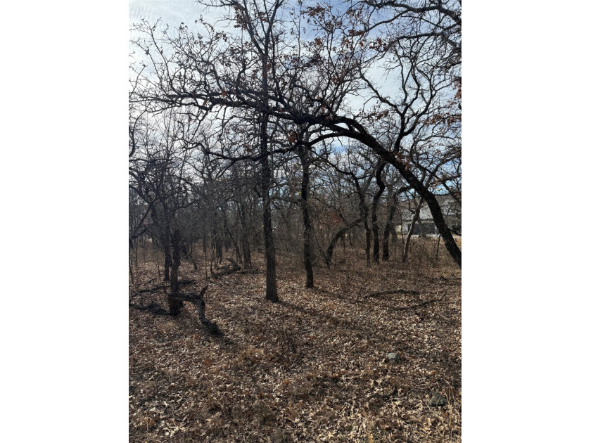 Miller Ct - photo 8