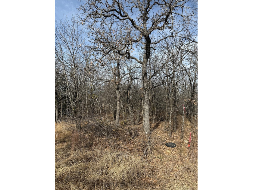 Miller Ct - photo 10