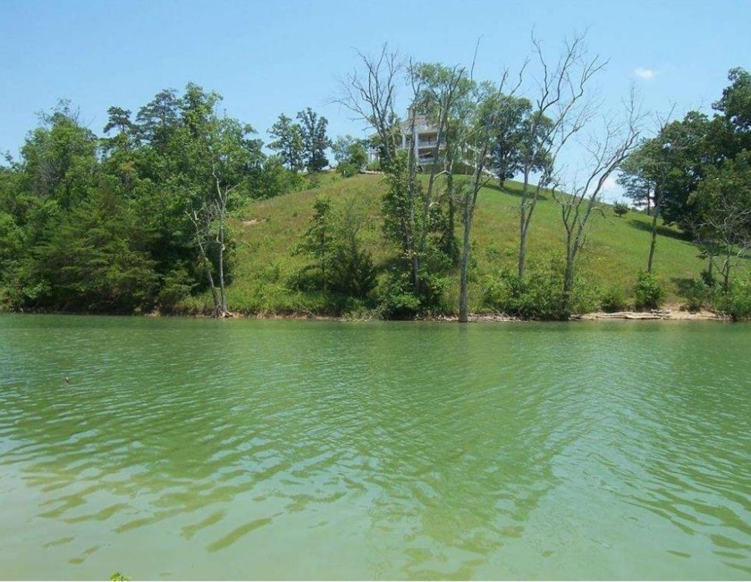 Lot 46 Stone Harbor Dr, Dandridge, TN 37725, 1907064