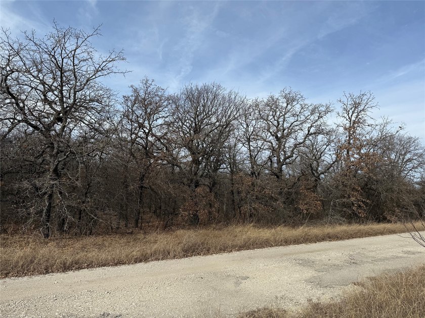 Lindsey Ln - photo 2