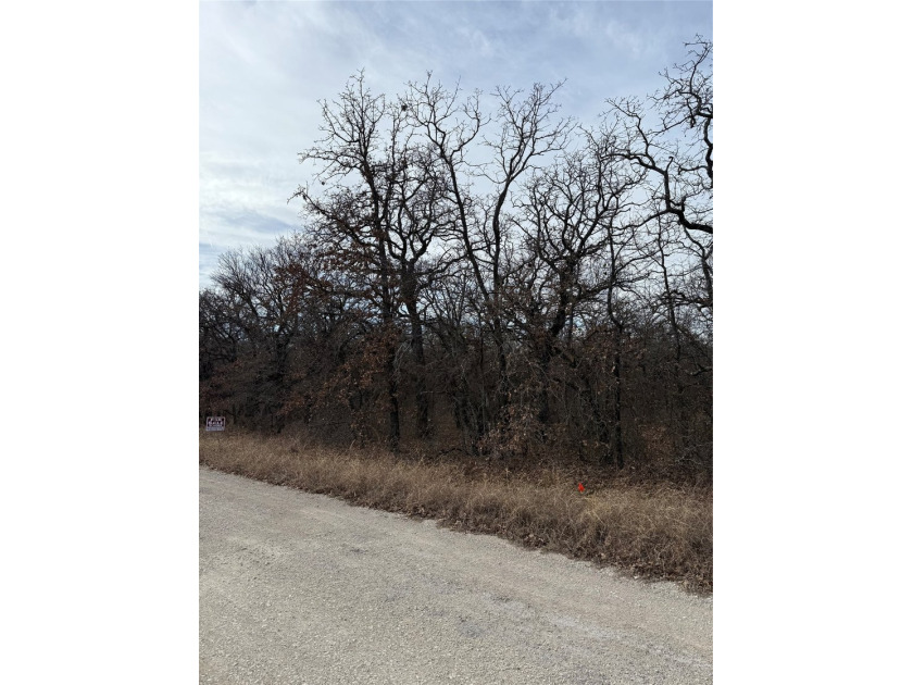 Lindsey Ln - photo 4