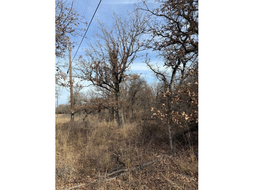 Lindsey Ln - photo 7