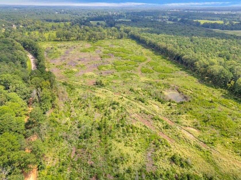 The 135.25-acre tract, recently planted with Elite Containerized - photo 4