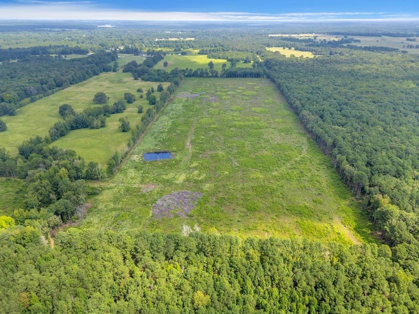 The 135.25-acre tract, recently planted with Elite Containerized - photo 9