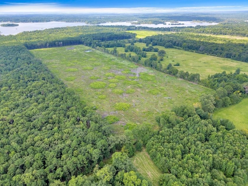 The 135.25-acre tract, recently planted with Elite Containerized - photo 10