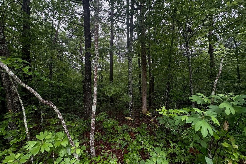 Welcome to Cumberland Lakes! This beautiful lot offers a great - photo 4