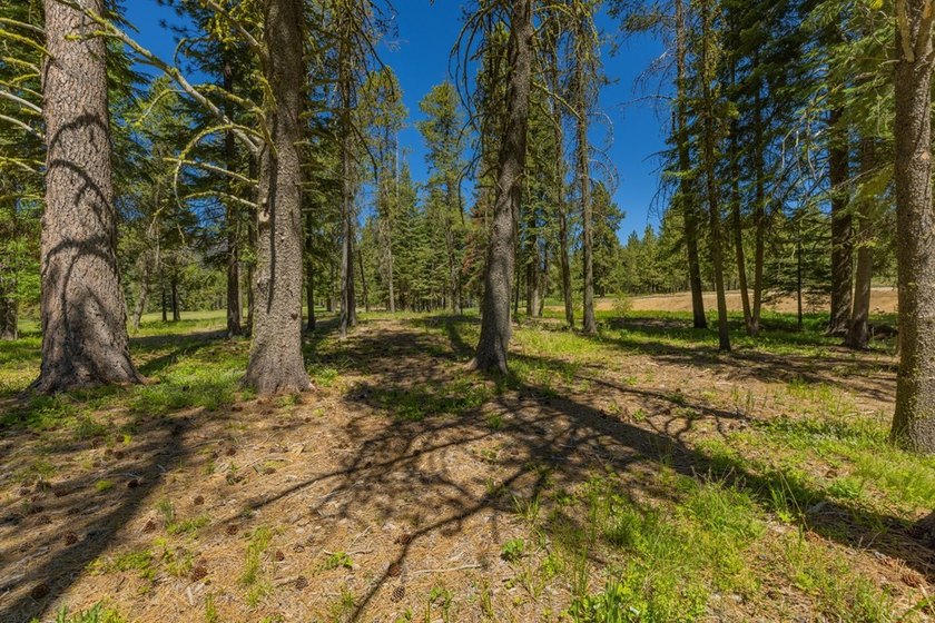 Discover one of Tamarack Resort's newest estate homesite - photo 8