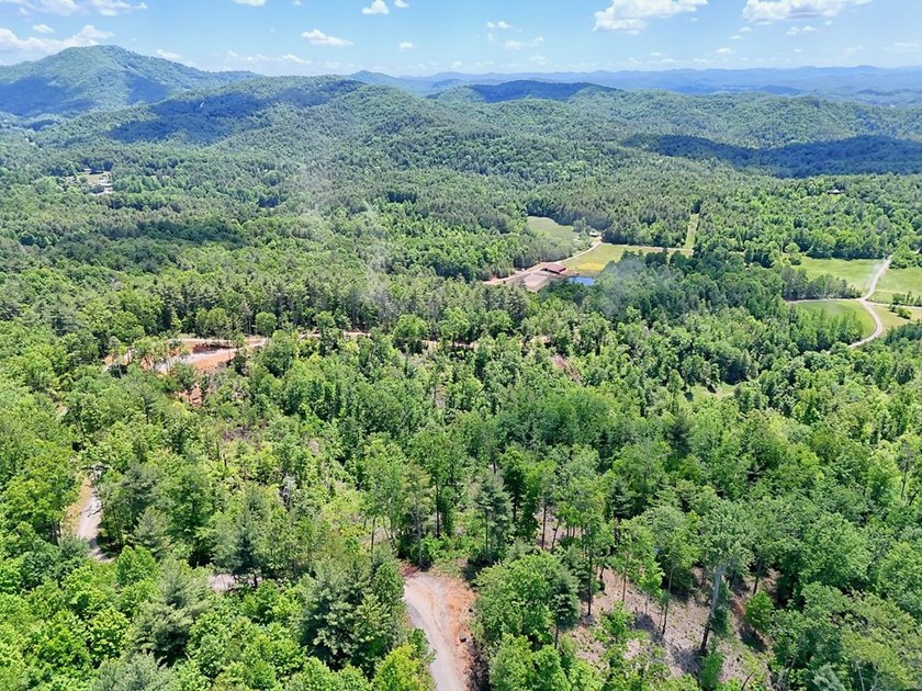 Discover your mountain paradise in the desirable Bryson Creek - photo 4