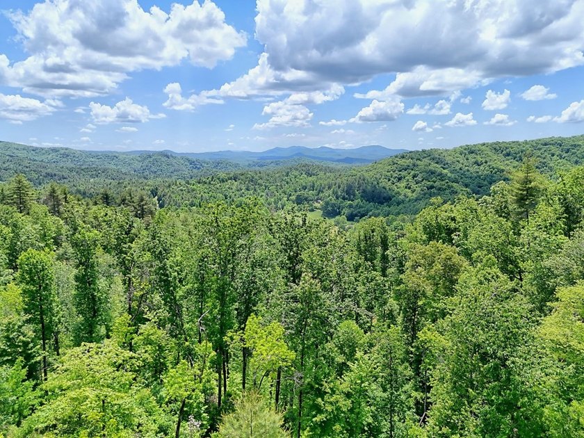 Discover your mountain paradise in the desirable Bryson Creek - photo 9