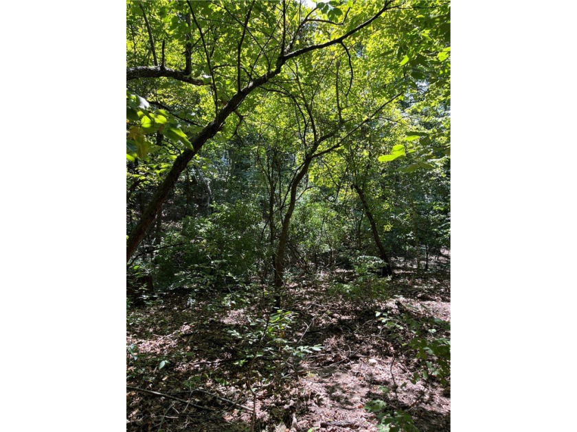 Wooded Residential Lots in Wunderland Est. Subdivision. Close to - photo 2