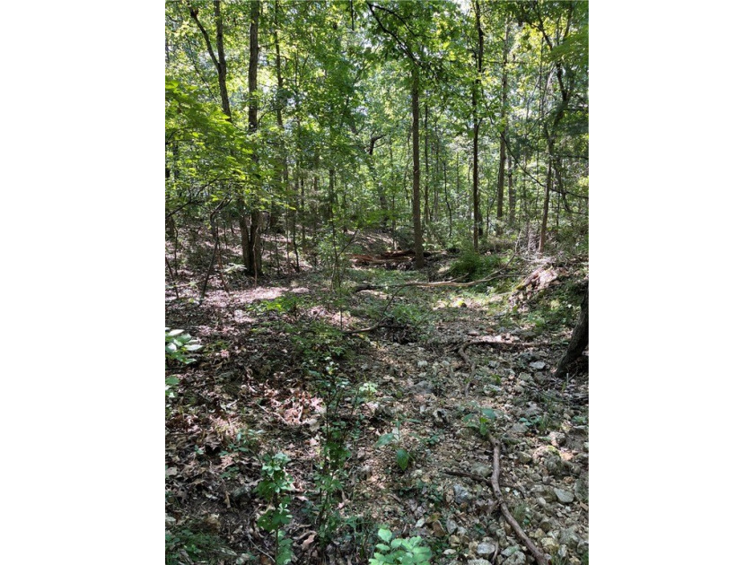 Wooded Residential Lots in Wunderland Est. Subdivision. Close to - photo 3